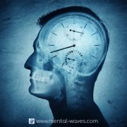 Chronobiologie, horloge et rythmes circadiens Chronobiologie, horloge et rythmes circadiens
